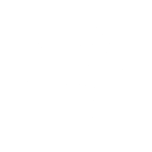 Vasant Valley School Logo